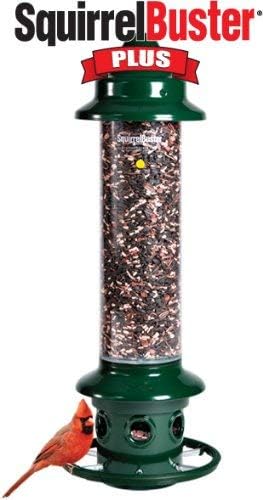 Brome,Squirrel Buster Plus 6"x6"x28" (w/hanger) Wild Bird Feeder with Cardinal Ring and 6 Feeding Ports, 5.1lb Seed Capacity, 2 Pack