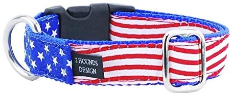 2 Hounds Design Essential USA Dog Collar, Flag, X-Large