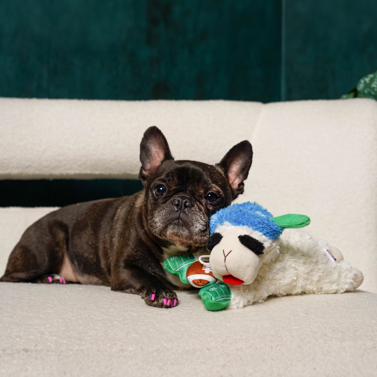 Multipet Tailgate Lamb Chop with Football Dog Toy - 10.5"