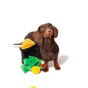 Midlee Hide-A-Toy Pot of Gold St. Patrick's Day Dog Toy