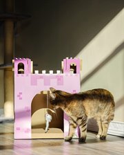 Midlee Pink Castle Cat Scratcher House