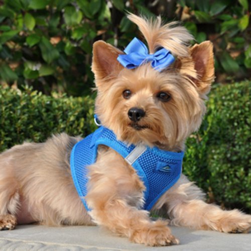 CHOKE FREE REFLECTIVE STEP IN ULTRA HARNESS - BLUE - ALL SIZES - AMERICAN RIVER (XL) by Doggie Design