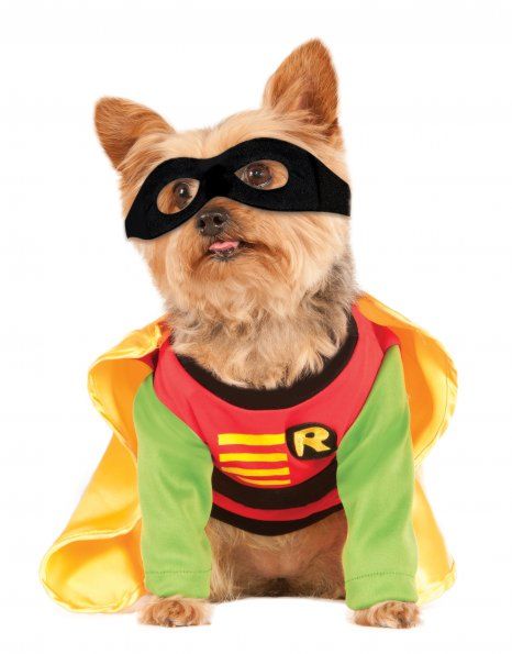 Rubies Robin Pet Costume (X-Small)