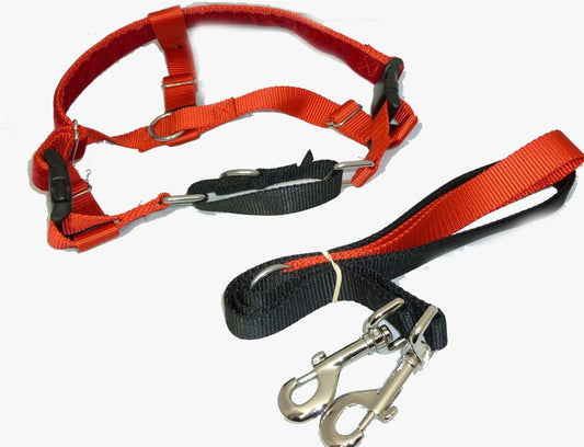 Freedom No Pull Velvet Lined Dog Harness and Leash Training Package Red Large