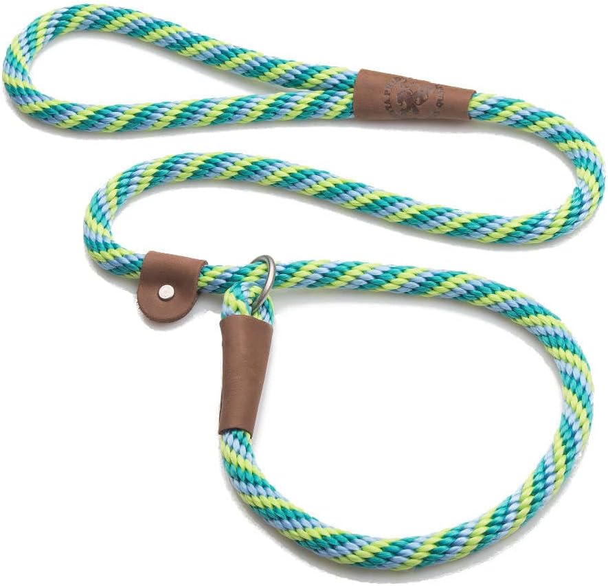 Mendota Pet Dog Walker, Martingale Style Leash - Leash & Collar Combo, Made in The USA - Seafoam, 1/2 in x 4 ft - for Large Breeds
