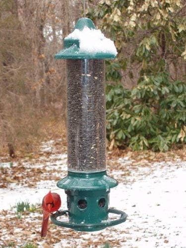 Brome,Squirrel Buster Plus 6"x6"x28" (w/hanger) Wild Bird Feeder with Cardinal Ring and 6 Feeding Ports, 5.1lb Seed Capacity, 2 Pack