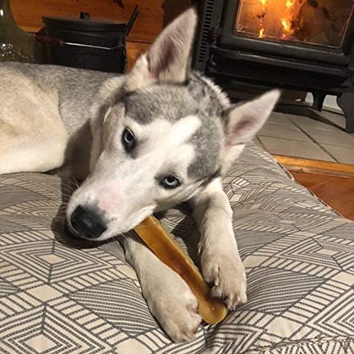 Yeti Dog Chew Medium Dog Chews Treats- Medium, 5 oz