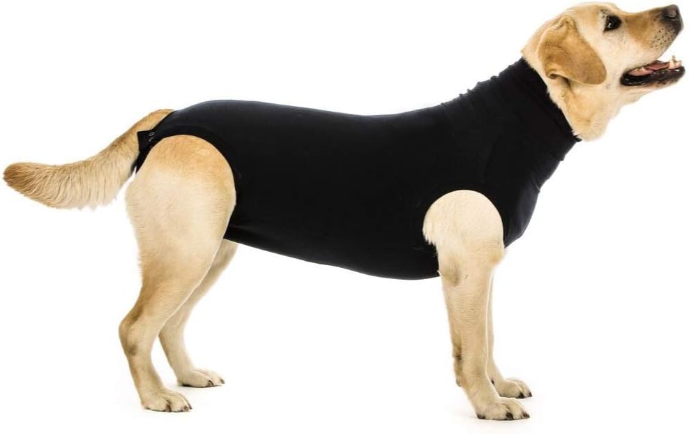 Suitical Recovery Suit for Dog, Black