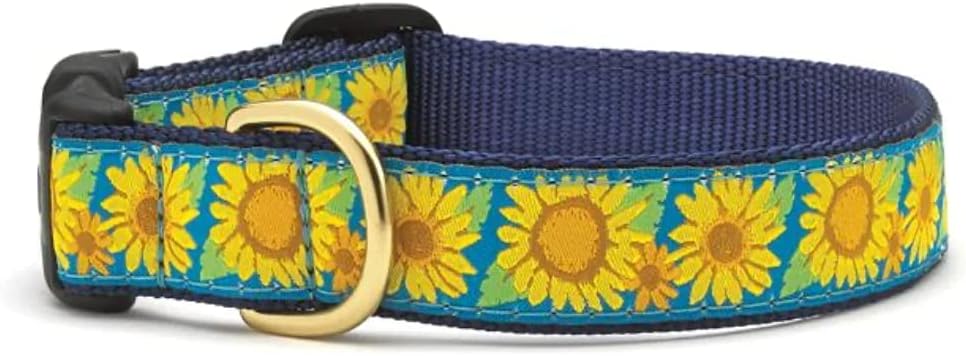 Up Country Bright Sunflower Dog Collar, Large (15 to 21 inches) 1 inch Wide Width