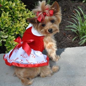 Holiday Dog Harness Dress - Candy Canes (Medium)