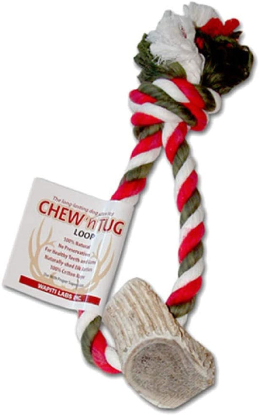 Wapiti Labs Holiday Chew 'n Tug Loop with Elk Antler Dog Chew Toy