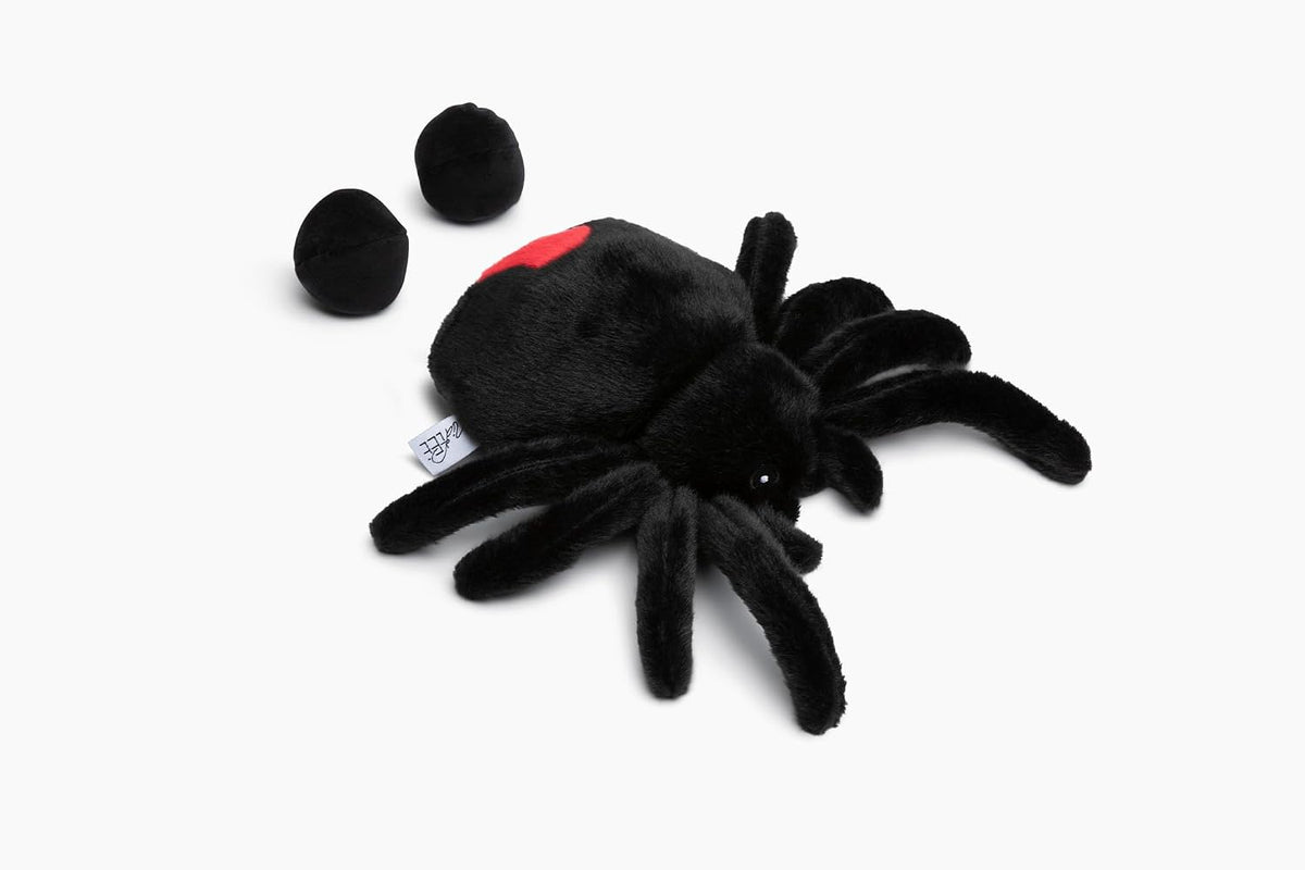 Midlee Hide a Ball Black Spider Halloween Dog Toy