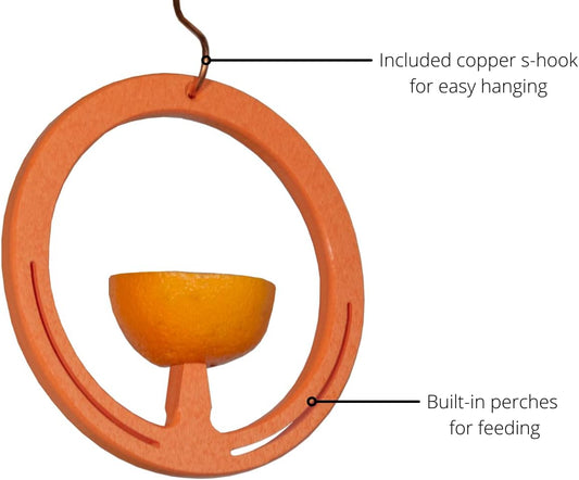 America's Favorite Orange Spike Oriole Bird Feeder