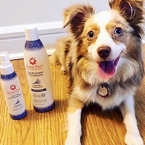 Aroma Paws 12 oz. Luxury Dog Shampoo & Conditioner in One Lavender Chamomile: Anti-itch & Hot Spot Relief Formula