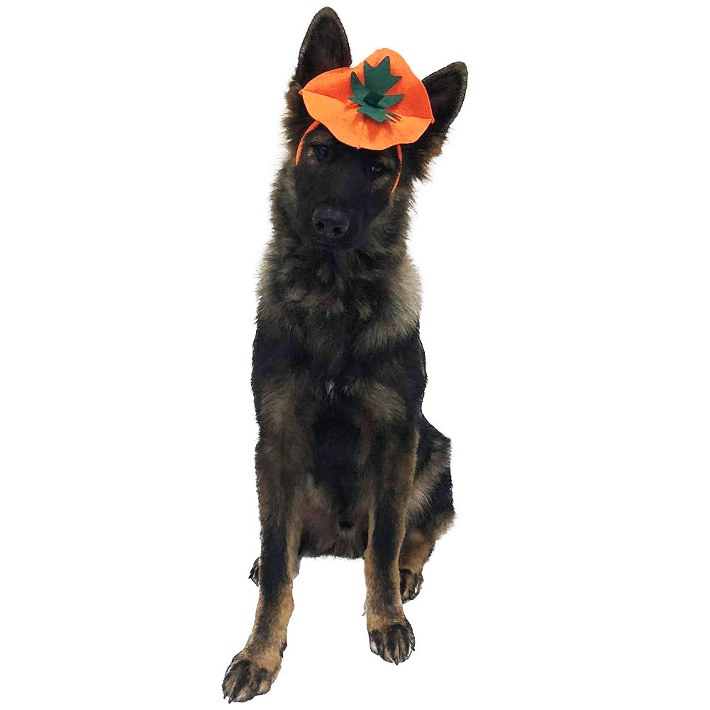 Midlee Large Dog Pumpkin Face Shirt & Headband Costume