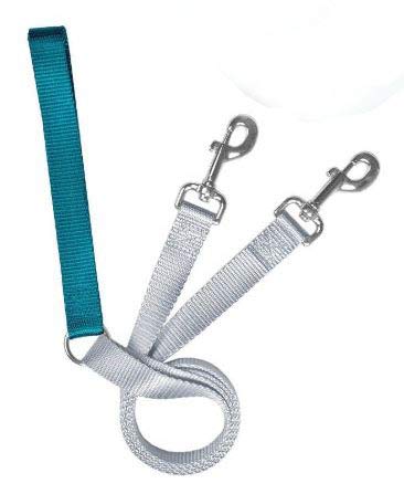 Freedom No Pull 1 Inch Training LEASH ONLY Works with No Pull Harnesses (Teal)