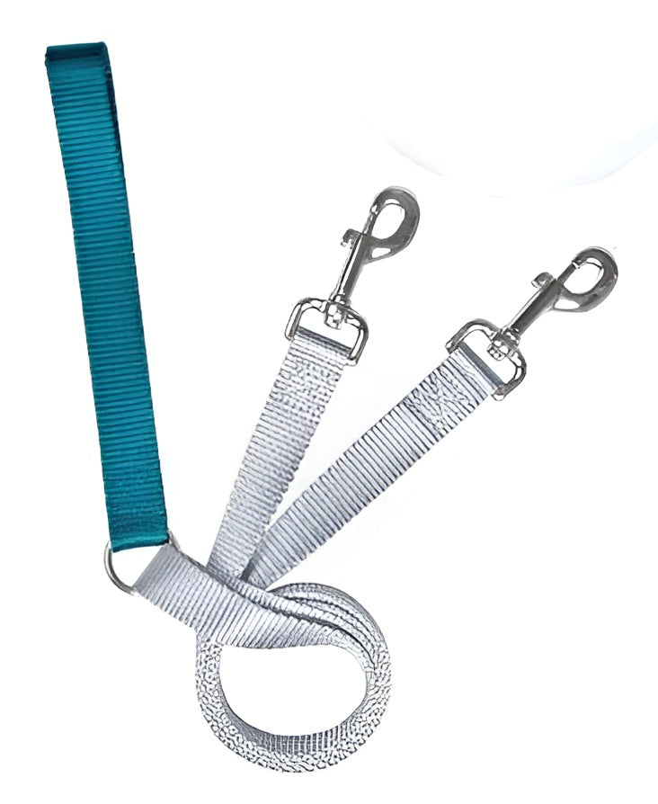 Freedom No Pull 1 Inch Training LEASH ONLY Works with No Pull Harnesses (Teal)