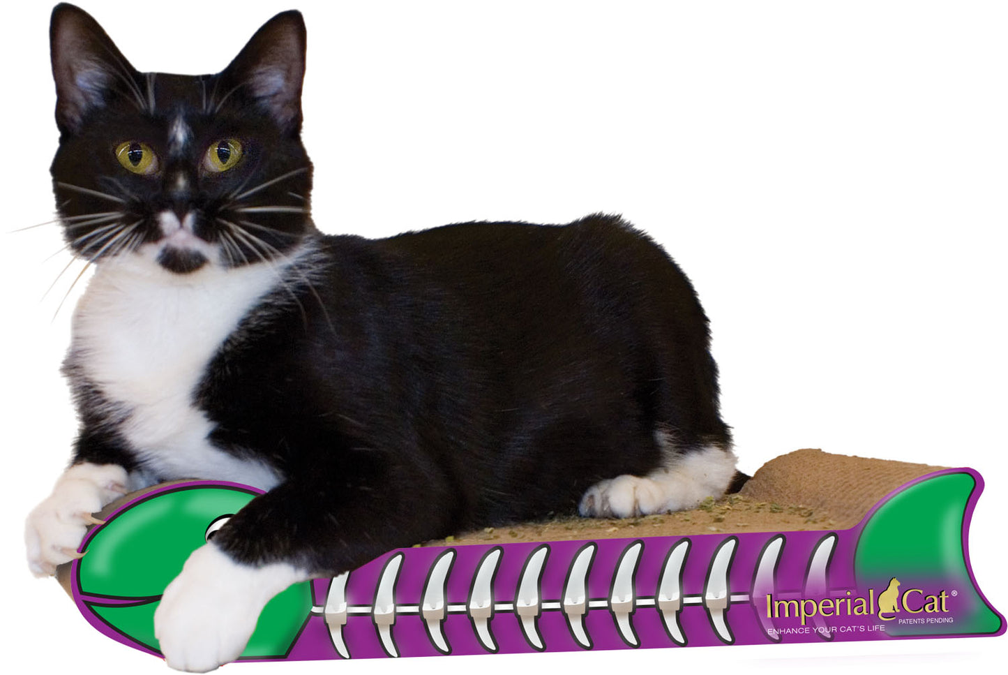 Imperial Cat Scratch 'n Shapes Fish Bone Scratcher - Assorted Color