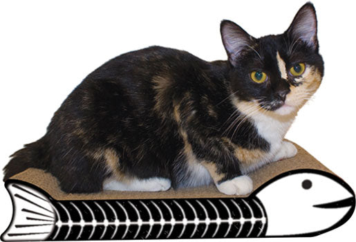 Imperial Cat Scratch 'n Shapes Fish Bone Scratcher - Assorted Color