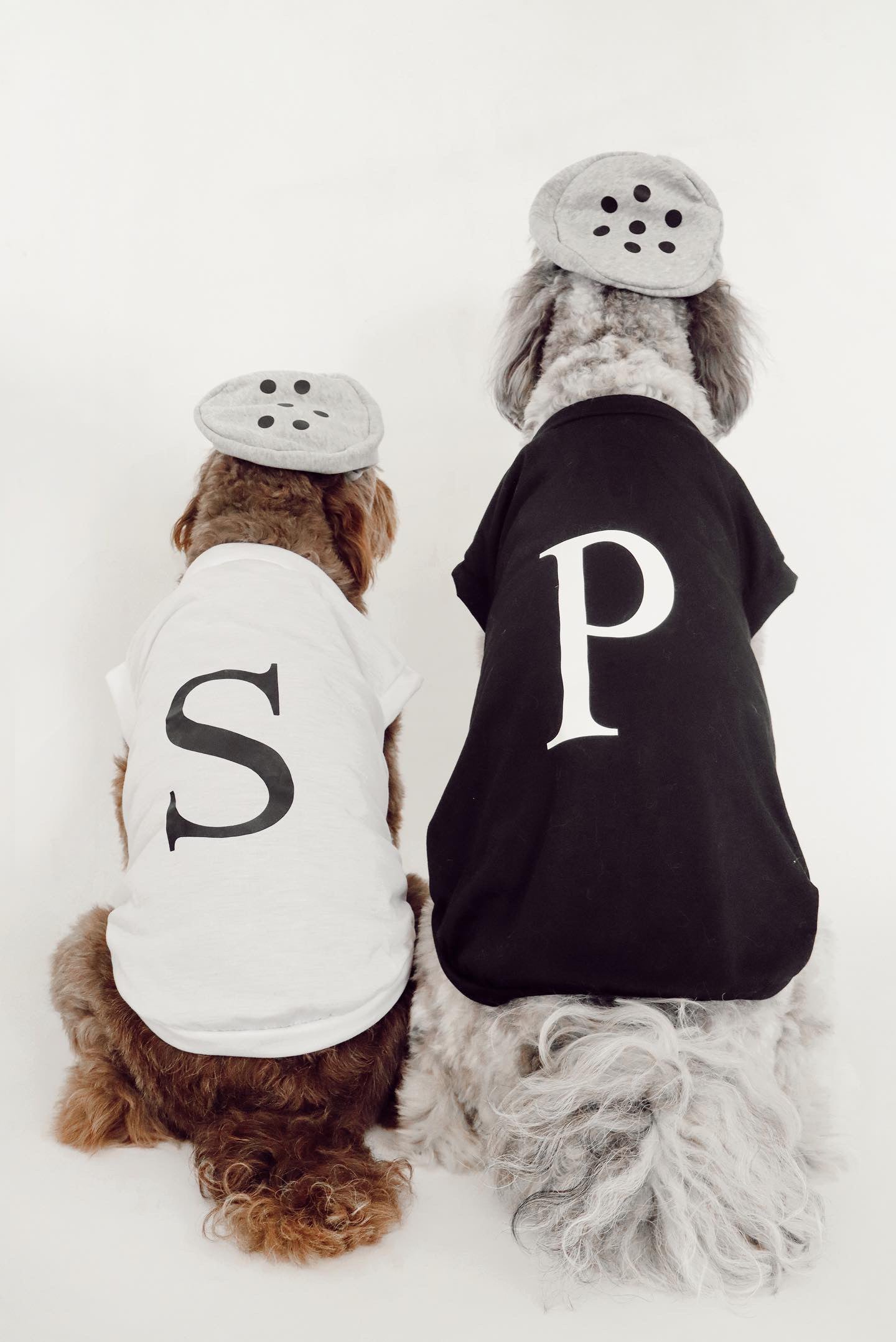 Midlee Salt & Pepper Dog Costume (Salt, X-Large)