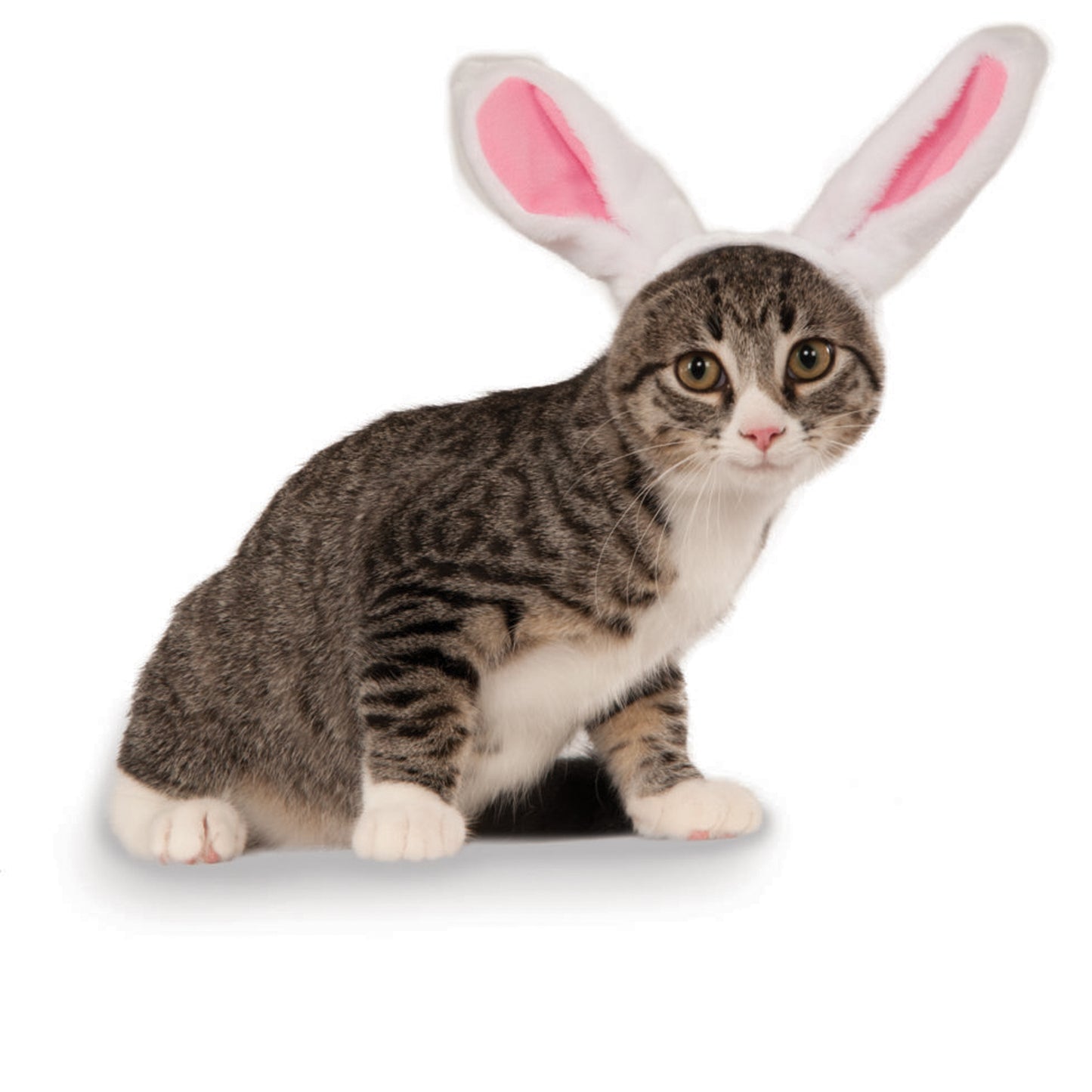 Rubies Pet Rabbit Ears Headband - Medium/Large