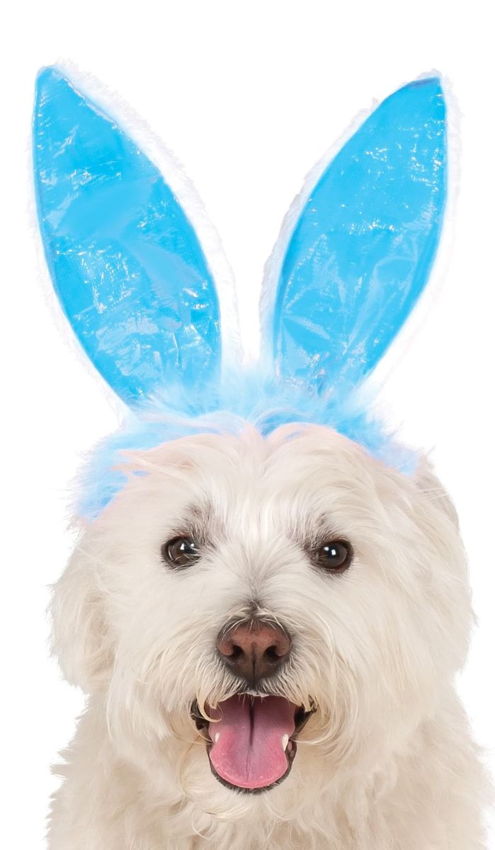 Rubies Crinkle Blue Bunny Ears Pet Headband - Medium/Large