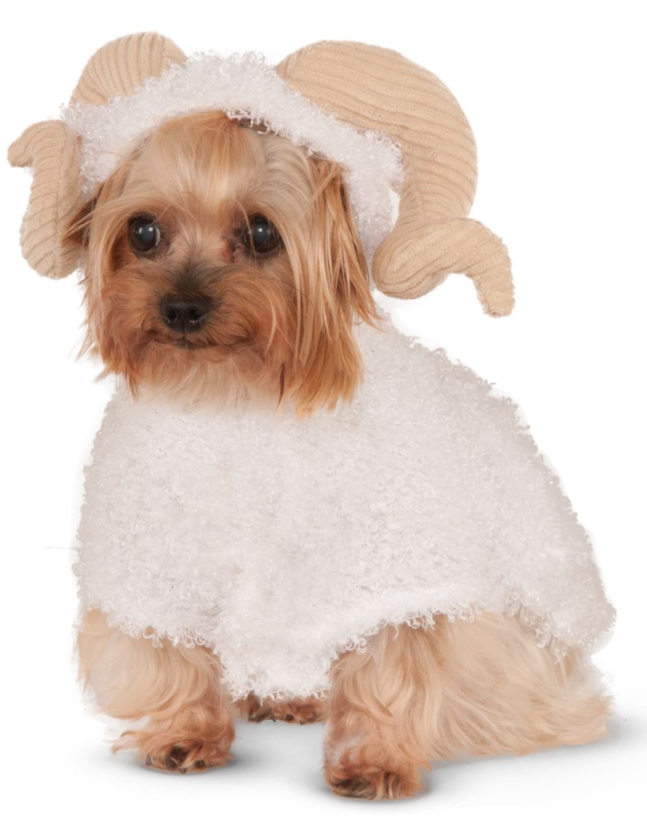 Rubies Ram Sheep With Horns Halloween Costume Hoodie - Extra Small
