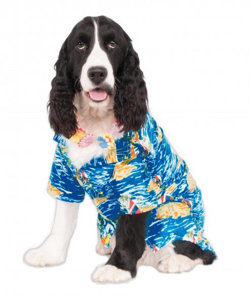 Rubie's Luau Pet Costume - 2X Large