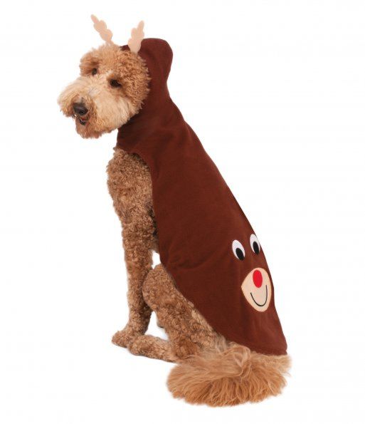 BIG DOG'S REINDEER HOODIE - 2X Large