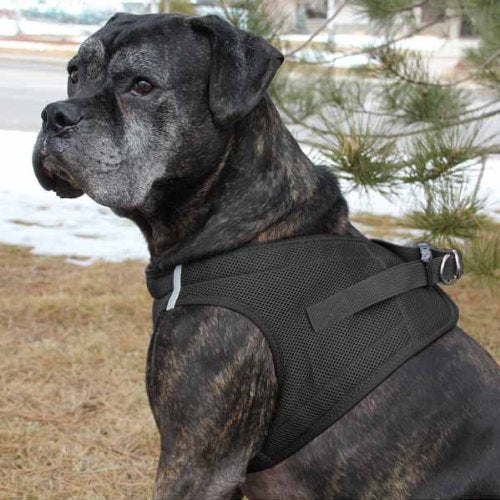 American River Ultra Choke Free Dog Harness, Black, XXL