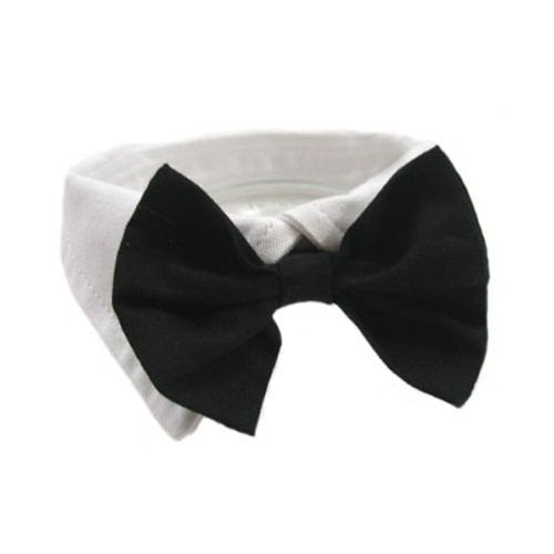 DOGGIE DESIGN Formal Black Dog Bow Tie (XL: Neck 19-23")