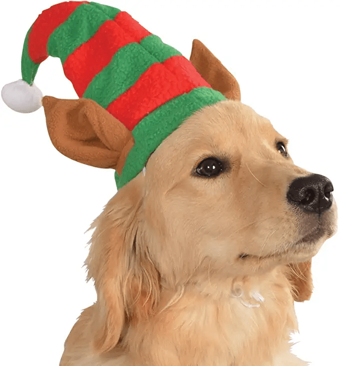 Christmas Collection Elf Pet Hat With Ears Pet Costume - Medium/Large