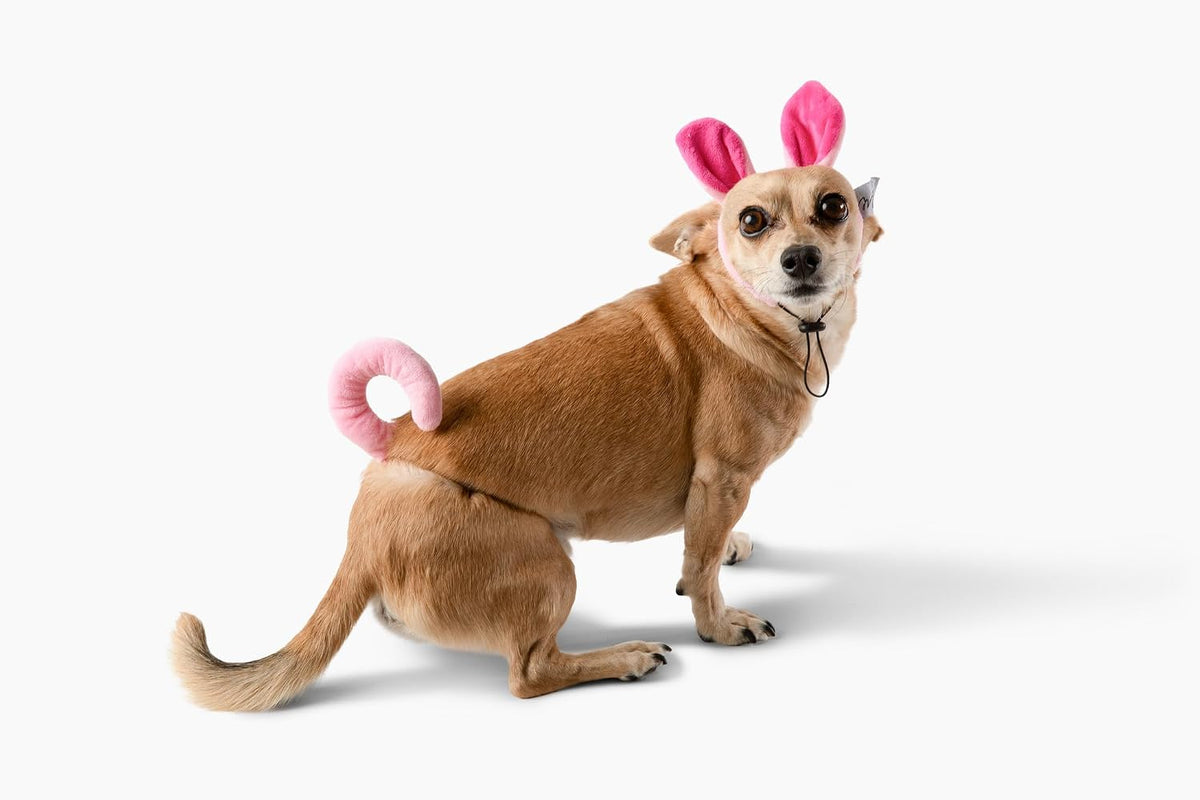 Midlee Pig Headband with Tail Dog Halloween Costume - Small