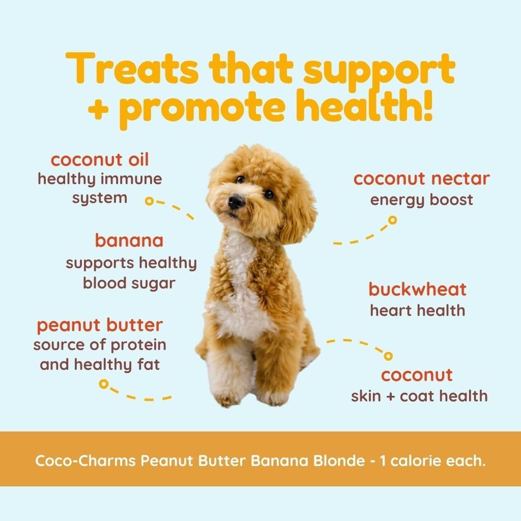 Coco Therapy Peanut Butter Banana Coco-Charms Dog Training Treats