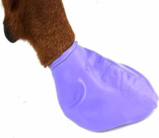 Protex PawZ Waterproof Snow Paw Protection Rubber Dog Boots - 12 Pack (Purple, Large)