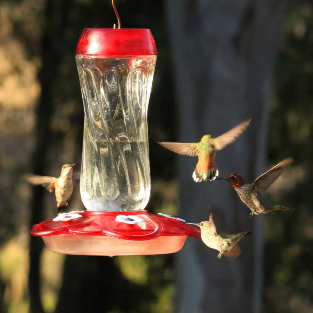 More Birds Orion Hummingbird Feeder, Glass Bottle, 5 Feeding Ports, 16-Ounce Nectar Capacity