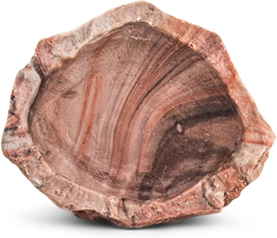 Flukers Repta-Bowl- Medium- 6"