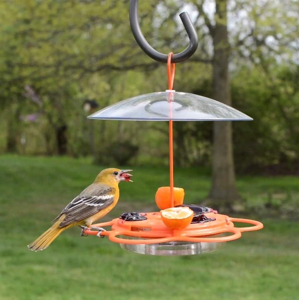 Nature's Way OFP1 All-in-One Oriole Buffet Bird Feeder, Orange