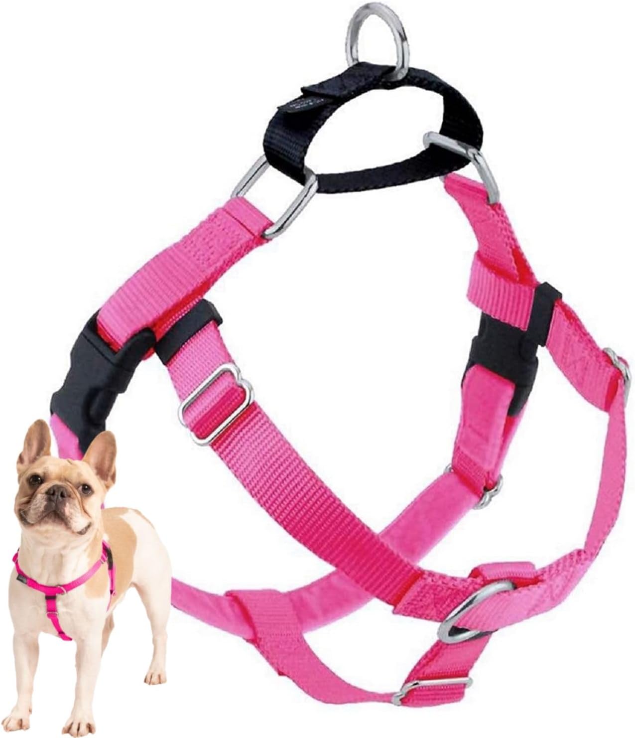 2 Hounds Design Freedom No Pull Dog Harness | Comfortable Control for Easy Walking | Adjustable Dog Harness | Small, Medium & Large Dogs | Made in USA | Solid Colors | 1" XXL Hot Pink