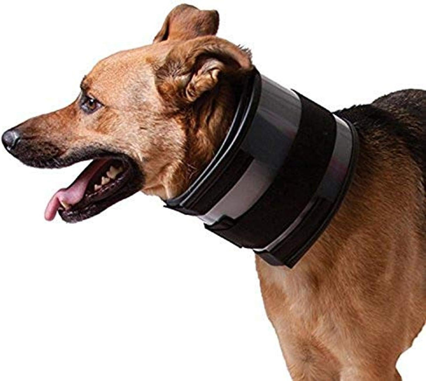 KVP BITE FREE Collar (21" - 25")