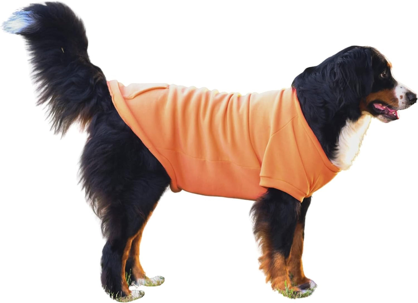 Midlee Coral Dog Sweatshirt