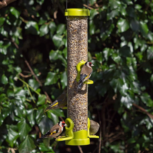 Jacobi Jayne Lime Flo Tube Seed Bird Feeder 4 Port