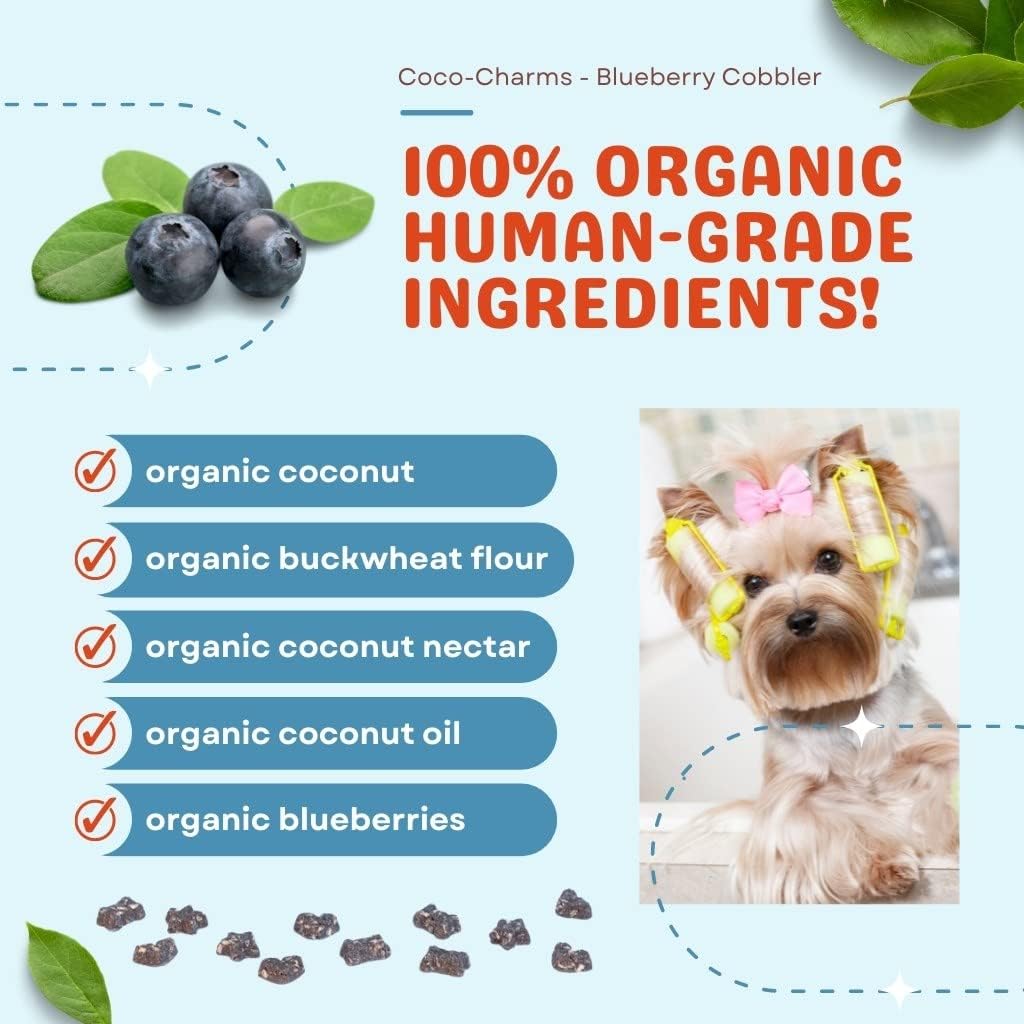CocoTherapy Blueberry Cobbler Coco-Charms Dog Training Treats, 5 Ounces, Organic, Made in The USA- 3 Pack