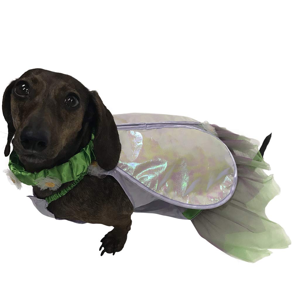 Fairy Costume for Small Dogs