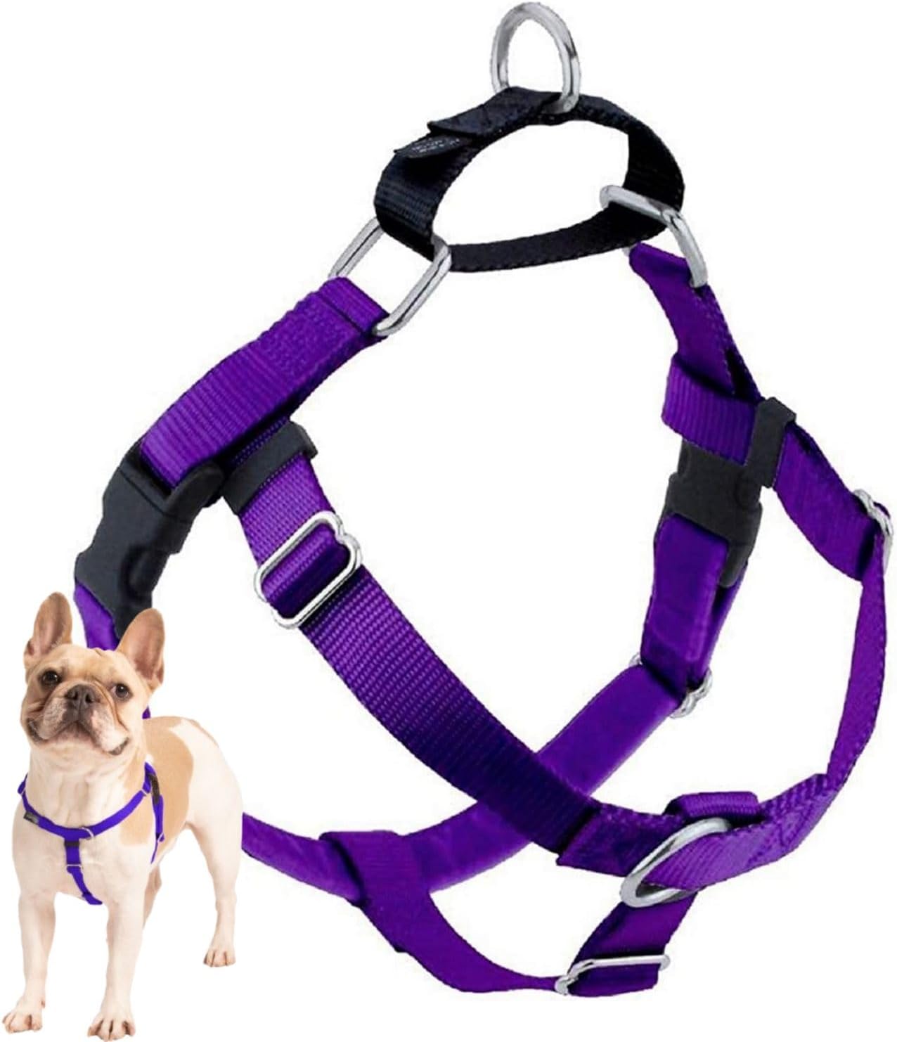 2 Hounds Design Freedom No Pull Adjustable Dog Harness | Comfortable Control for Easy Walking | Small, Medium & Large Dogs | 1" LG Purple
