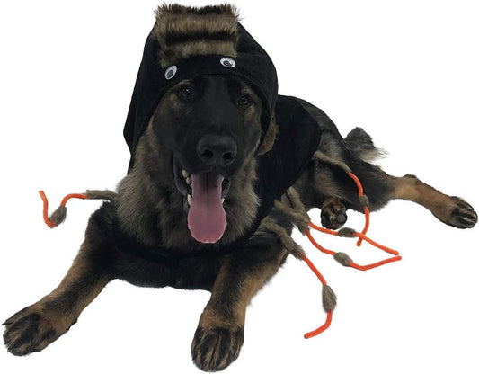 Midlee Scary Spider Dog Costume (Medium)