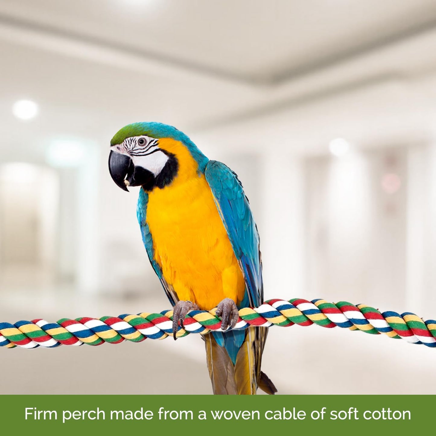 JW Pet Flexible Multi-Color Comfy Rope Perch 32"