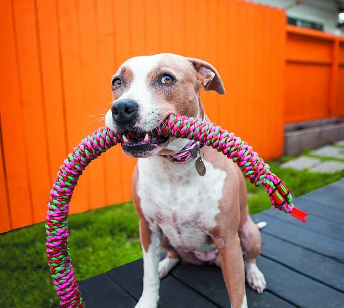 Flossy Chews Snakebiter Tug Rope