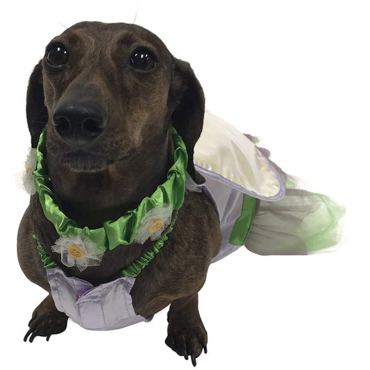 Fairy Costume for Small Dogs