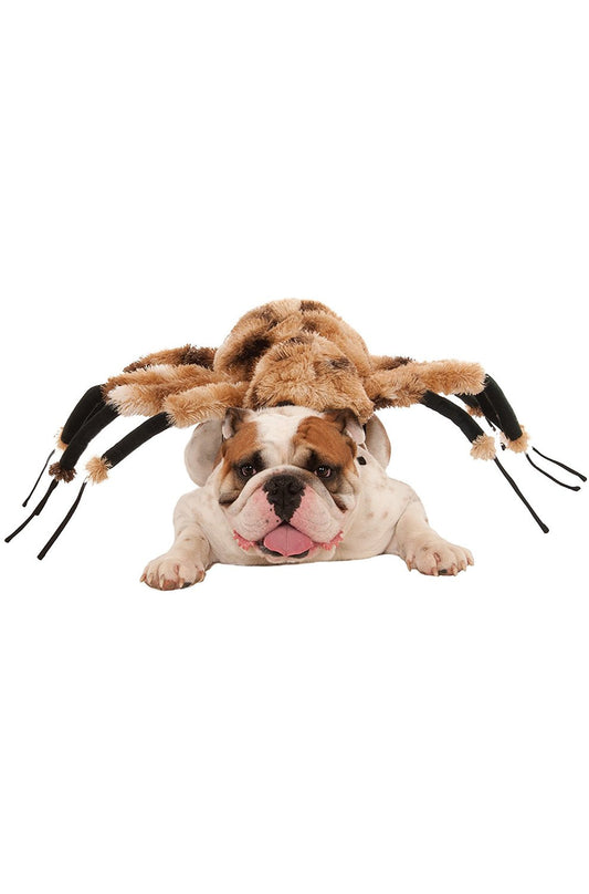 Rubie's Costume Co Creepy Spider Harness Pet Costume-X-Large